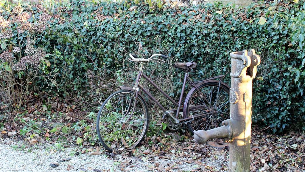 La Petite Jeusseliniere Villa Larchamp Eksteriør billede