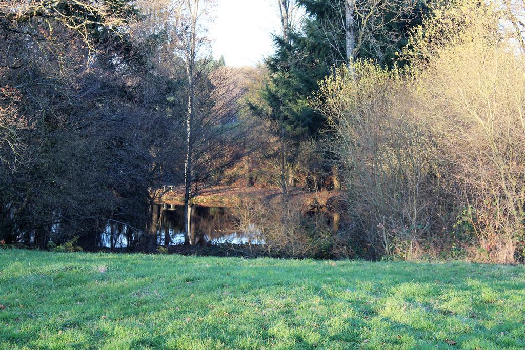 La Petite Jeusseliniere Villa Larchamp Eksteriør billede